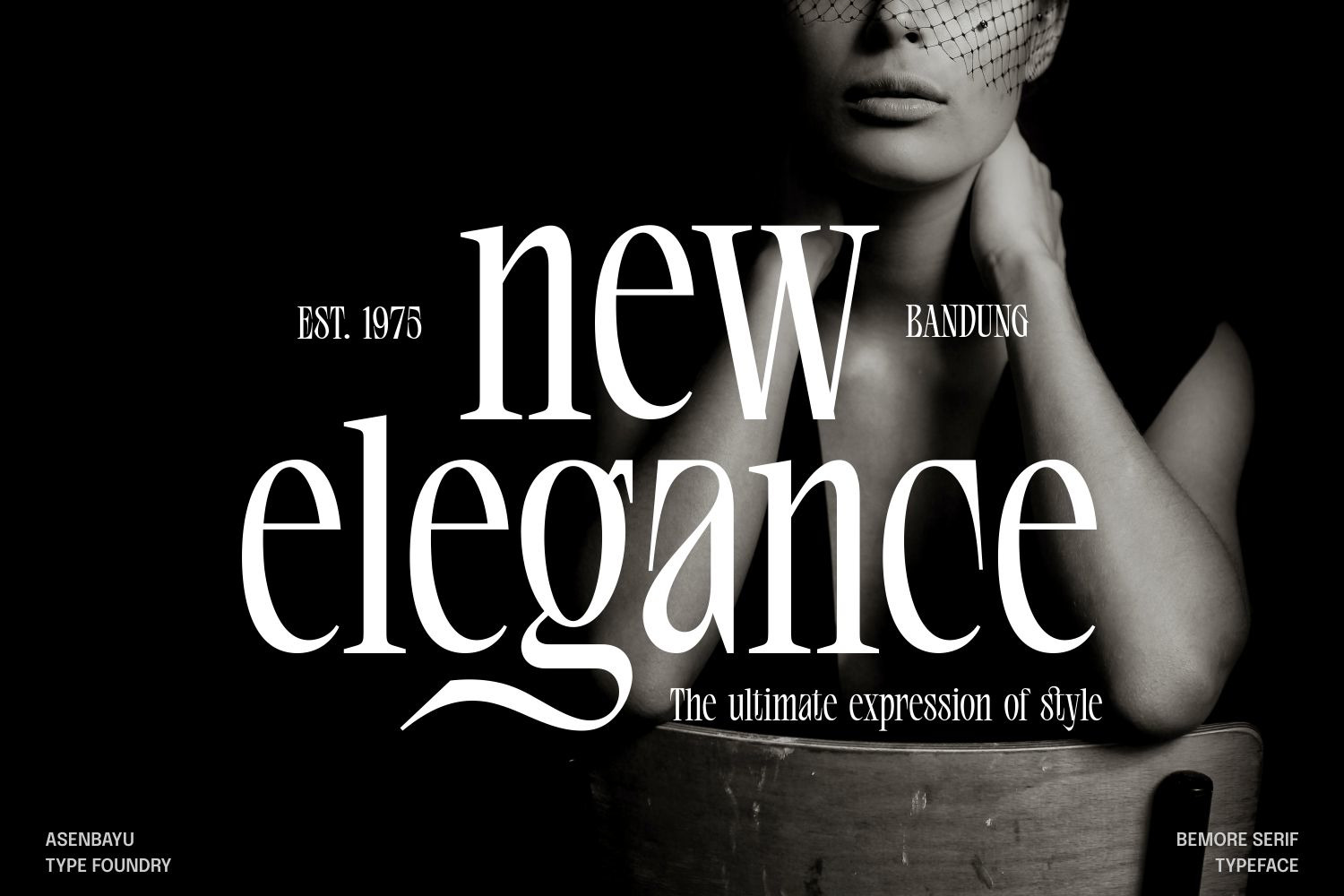 Bemore Serif - Distinctive Serif Display Font Bemore Serif - Distinctive Serif Display Font