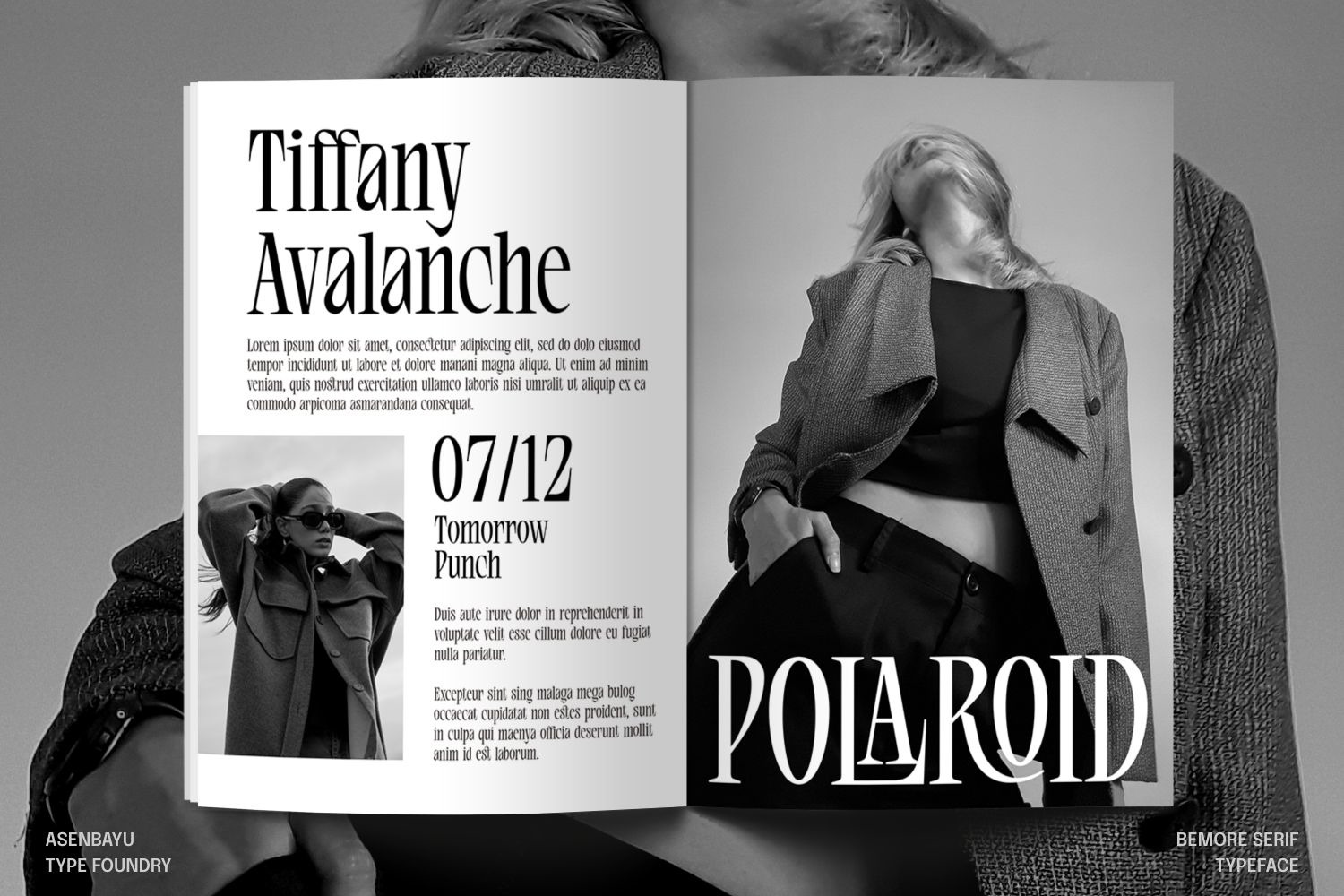 Bemore Serif - Distinctive Serif Display Font Bemore Serif - Distinctive Serif Display Font