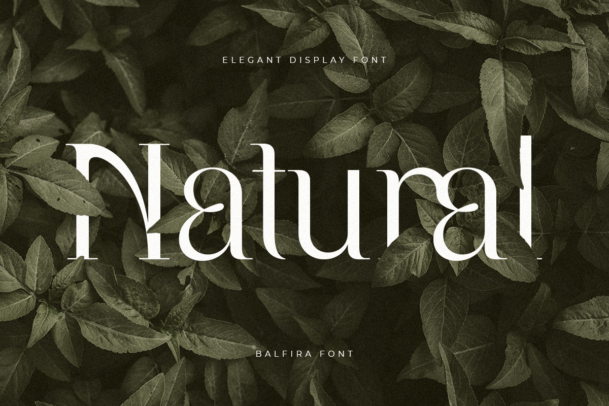 Balfira - Elegant Display Font Balfira - Elegant Display Font