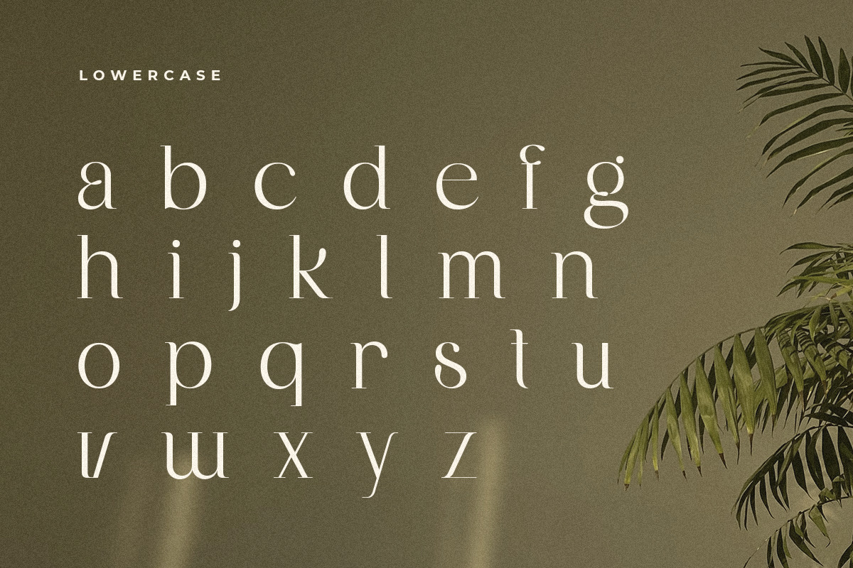 Balfira - Elegant Display Font Balfira - Elegant Display Font