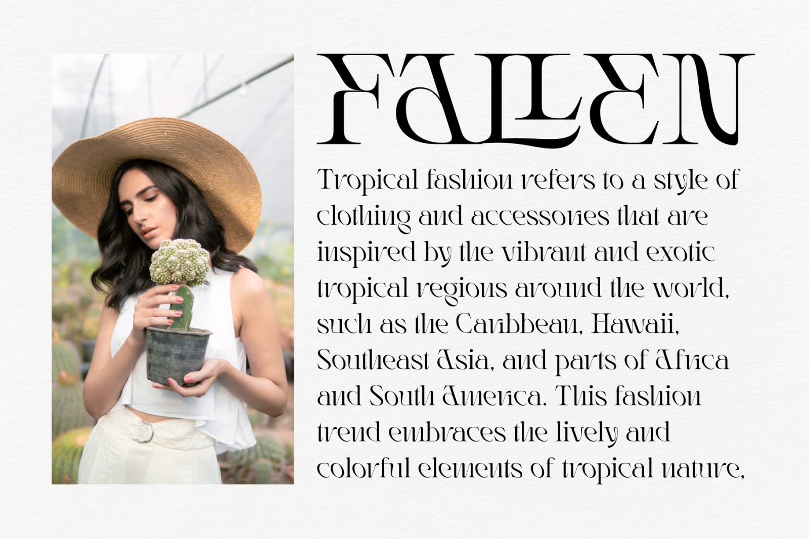 Rogain - Modern Serif Font Rogain - Modern Serif Font