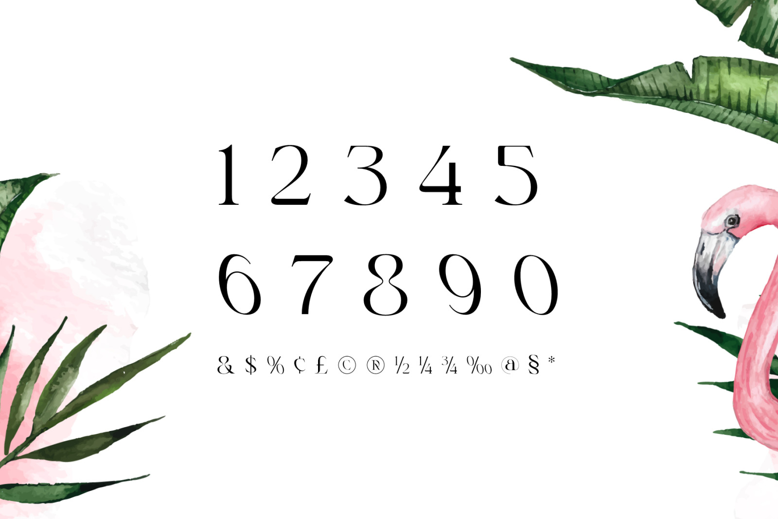 Rogain - Modern Serif Font Rogain - Modern Serif Font