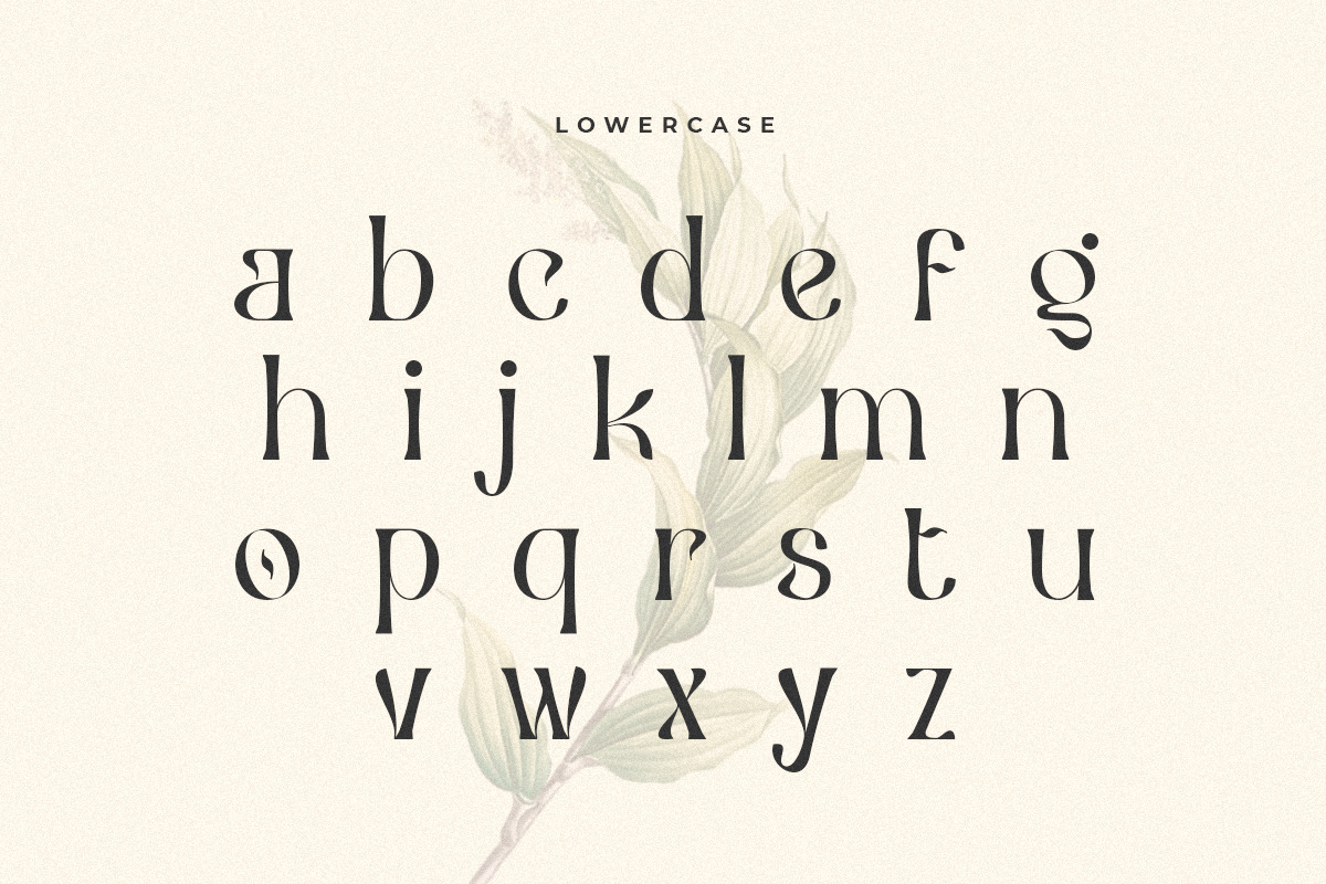 Ceria - Modern Vintage Font