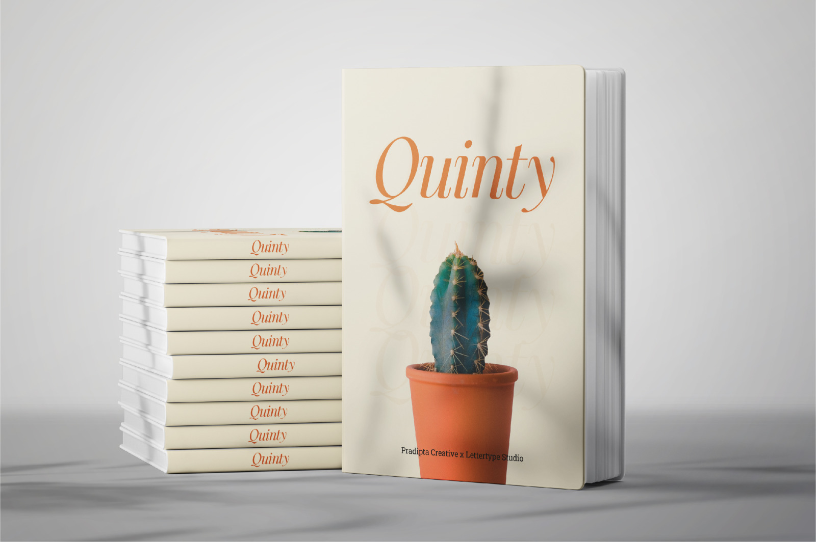 Quinty a Luxury Serif Font Family