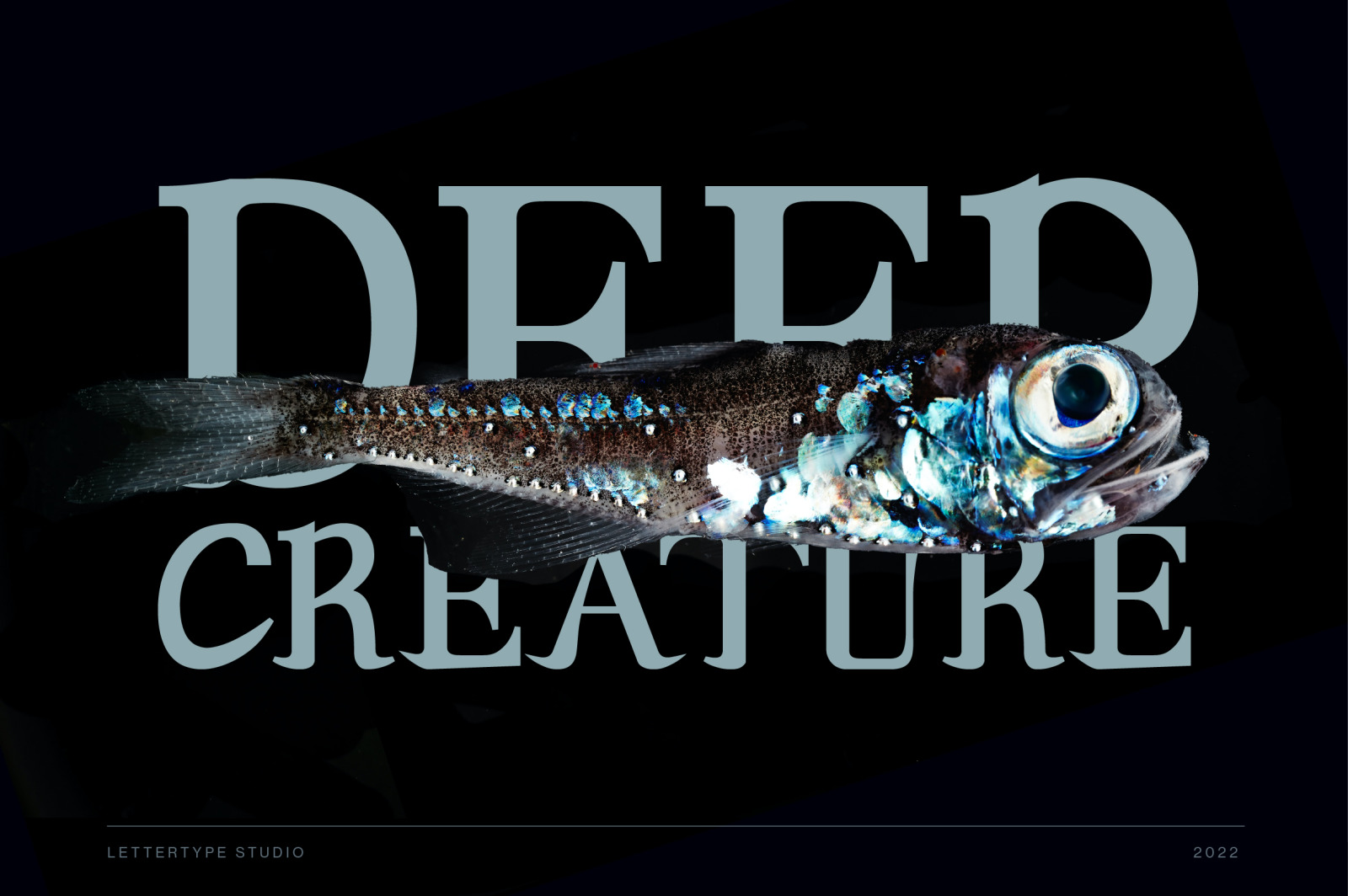 Andaman an Experimental Serif Font Andaman an Experimental Serif Font