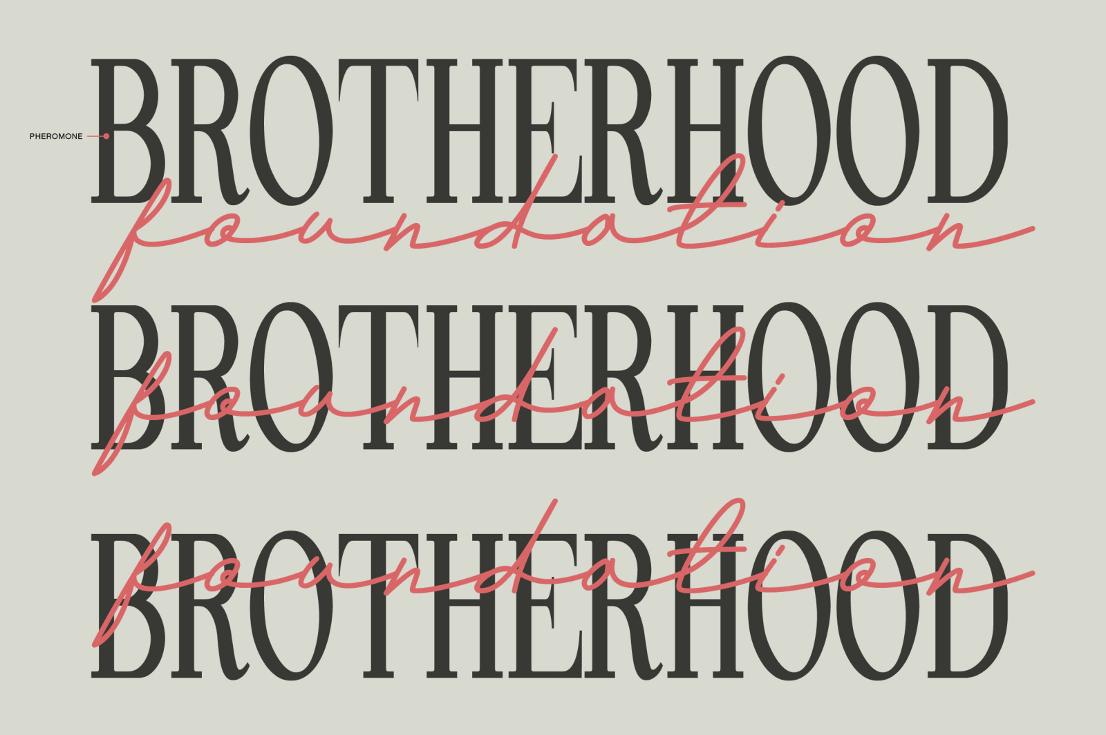 Andalusia a Beautiful Script Font Andalusia a Beautiful Script Font