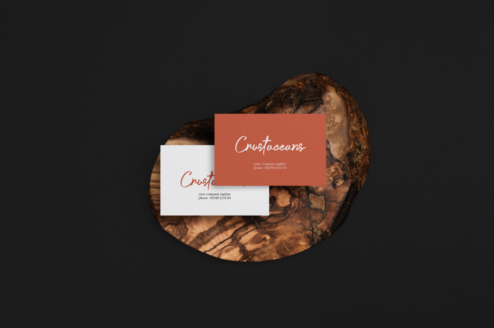 Crustaceans Signature Bold Script Crustaceans Signature Bold Script