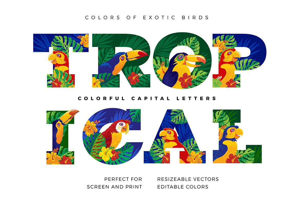 TROPICAL TYPO TROPICAL TYPO