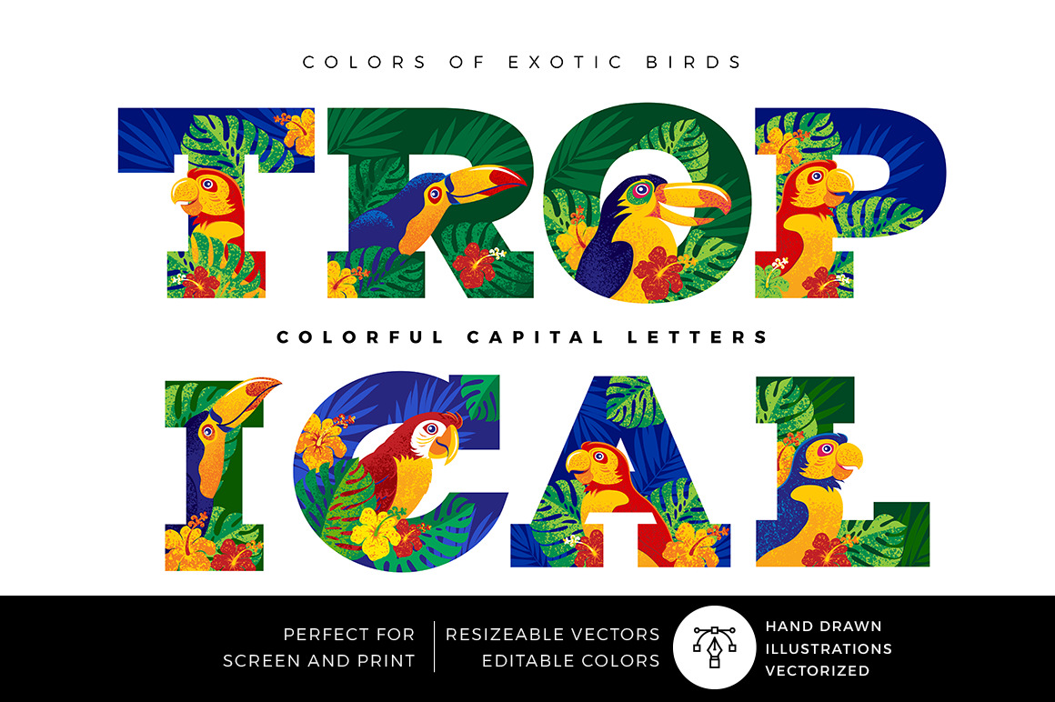 TROPICAL TYPO TROPICAL TYPO