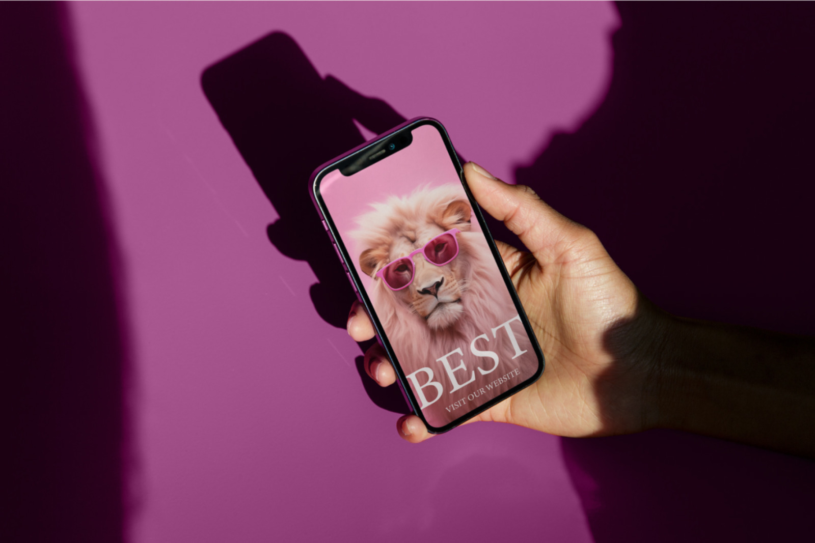 Stylish Animals Collection Stylish Animals Collection
