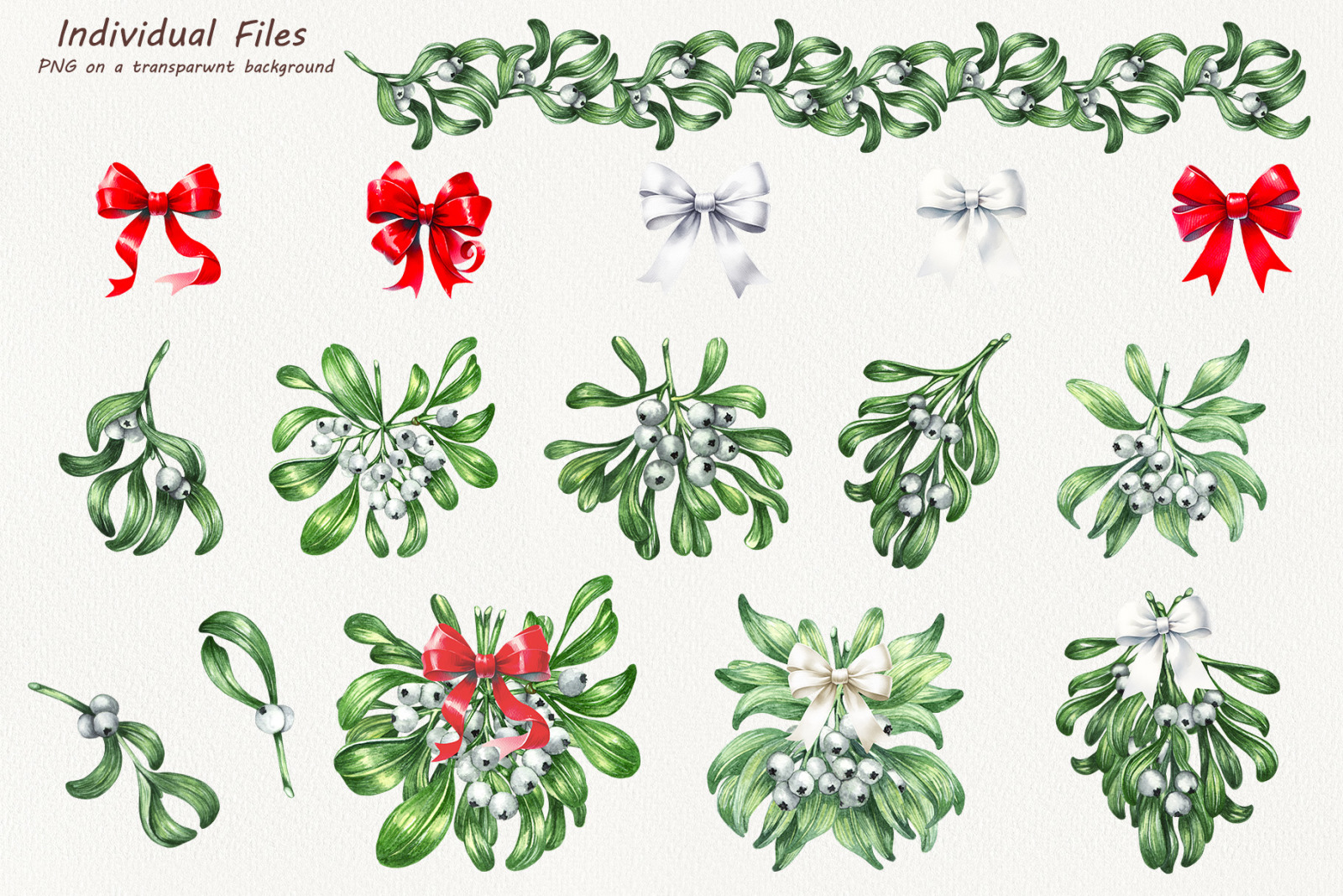 Watercolor Botanical Mistletoe Set