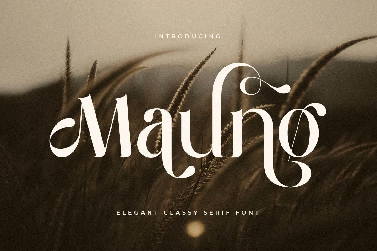 Maung - Elegant Classy Serif Font Maung - Elegant Classy Serif Font
