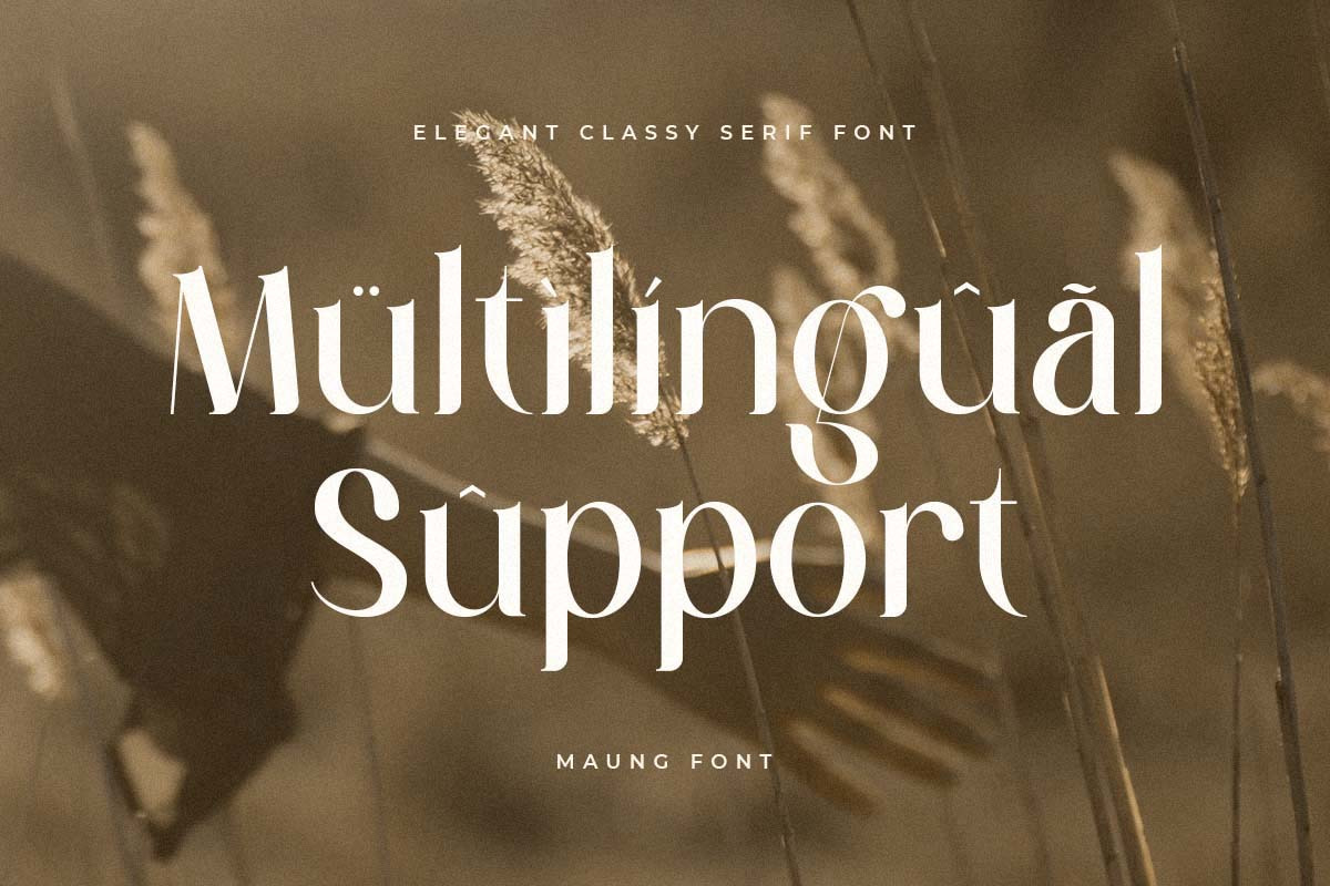 Maung - Elegant Classy Serif Font Maung - Elegant Classy Serif Font