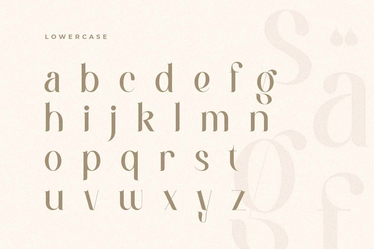 Maung - Elegant Classy Serif Font Maung - Elegant Classy Serif Font