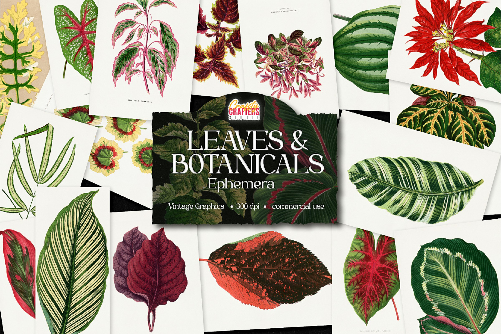 Vintage Leaves &amp; Botanicals Ephemera Graphics