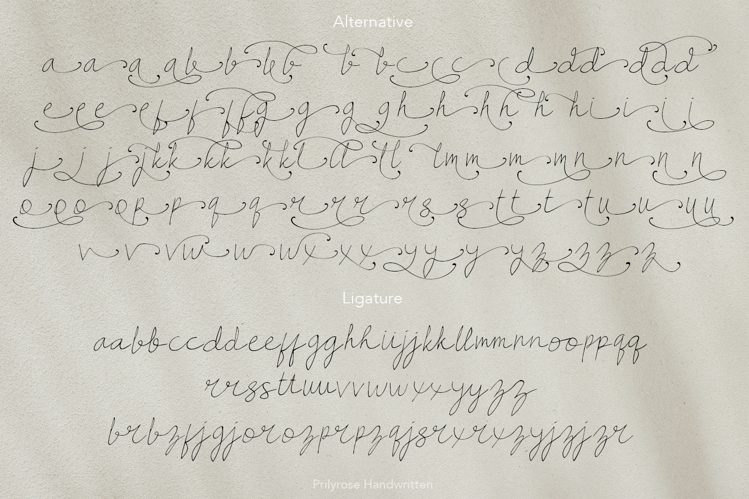 Prilyrose Script Prilyrose Script