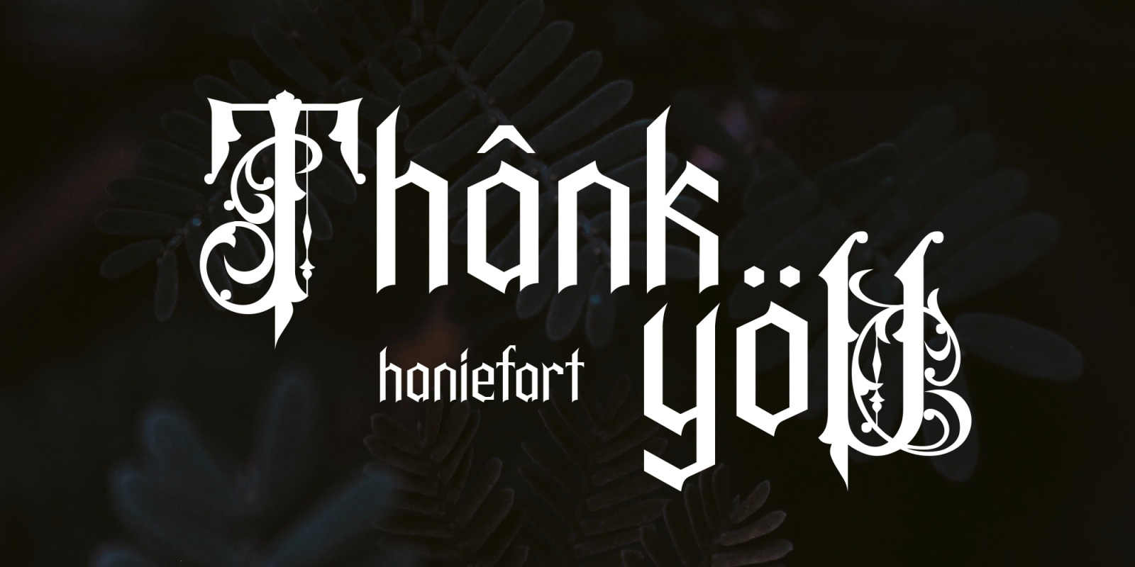 Ashoca Font Ashoca Font