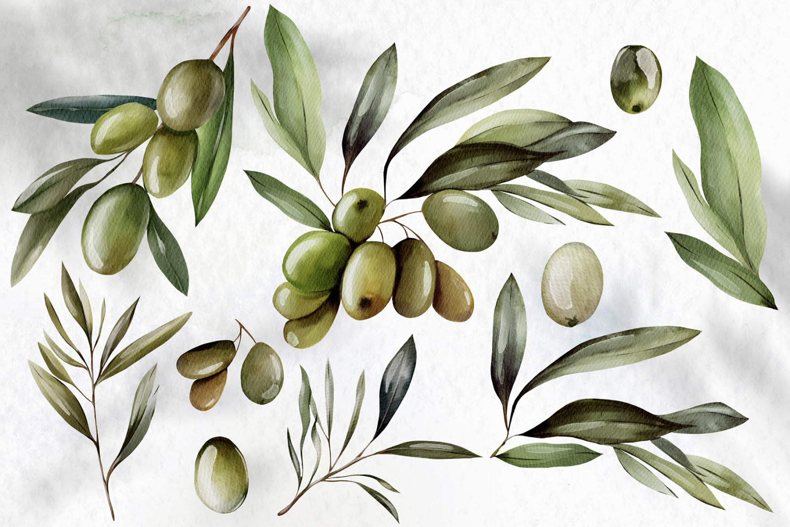 Watercolor Olives &amp; Lemons