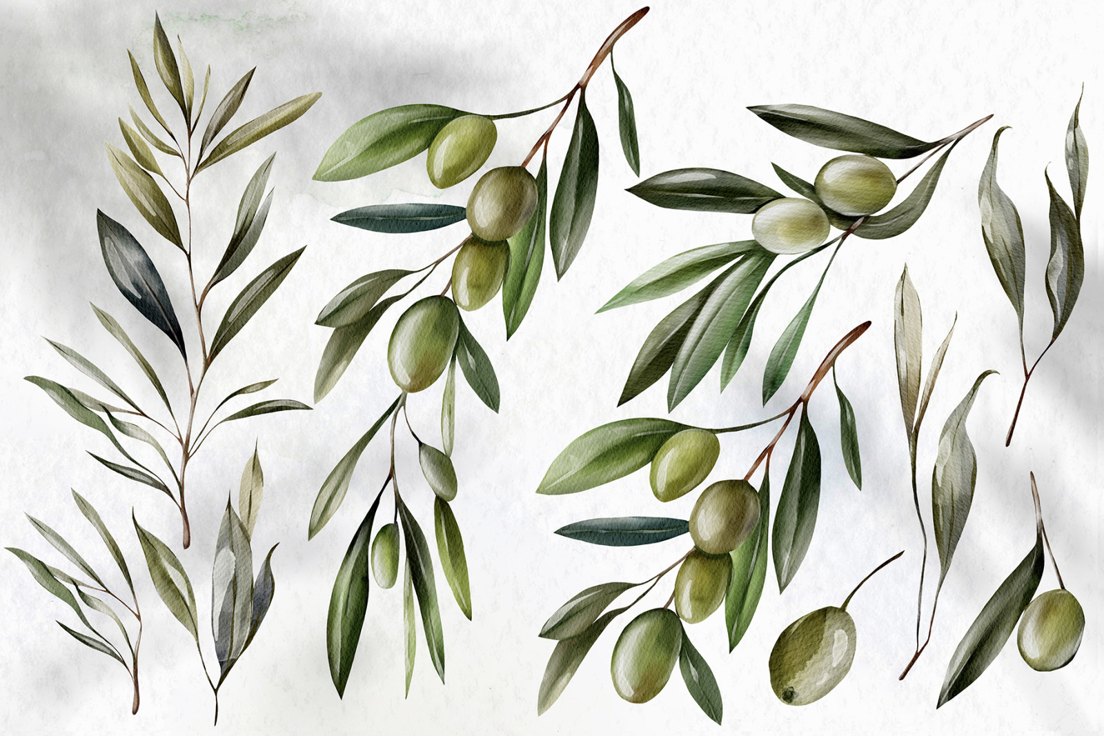 Watercolor Olives &amp; Lemons
