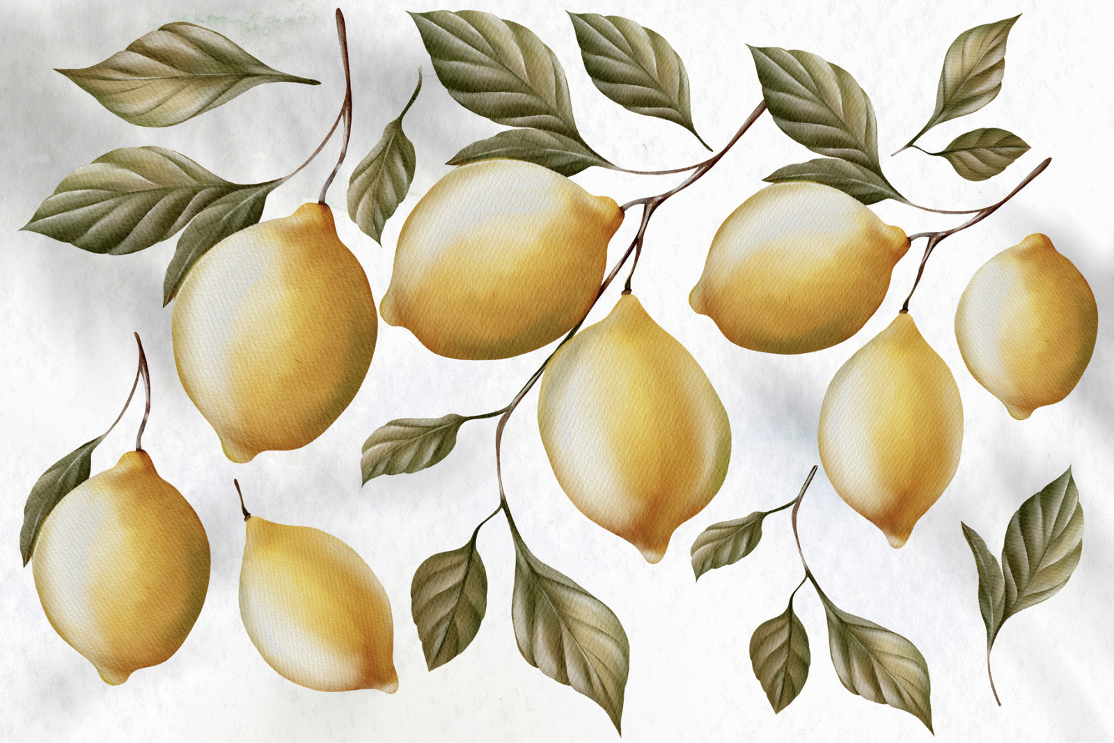 Watercolor Olives &amp; Lemons