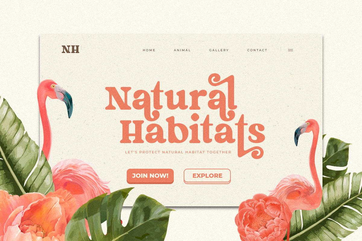 Kaolin - Fancy Retro Serif Kaolin - Fancy Retro Serif