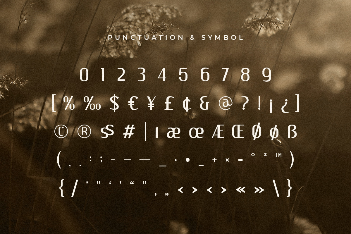 Parker - Corporate Elegant Font Parker - Corporate Elegant Font