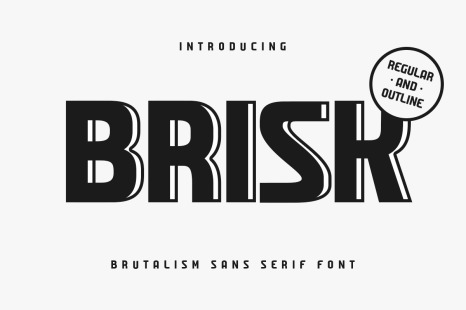 Brisk - Brutalism Sans Serif Font - Graphic design font