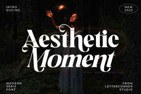 Aesthetic Moment - Fonts