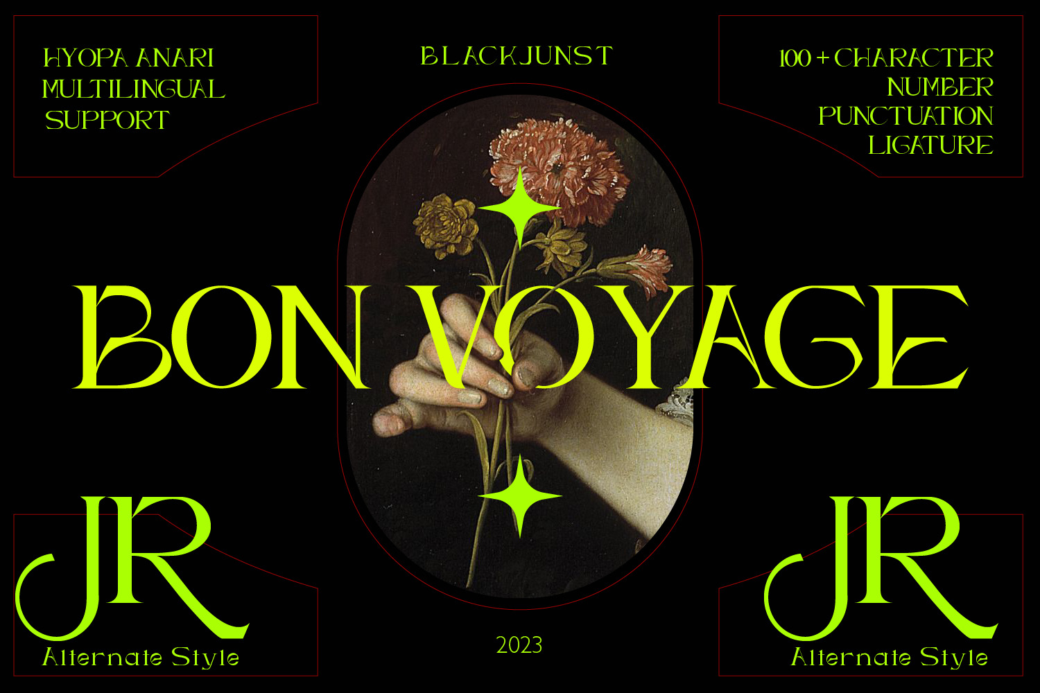 Hyopa Anari - Serif Font Hyopa Anari - Serif Font