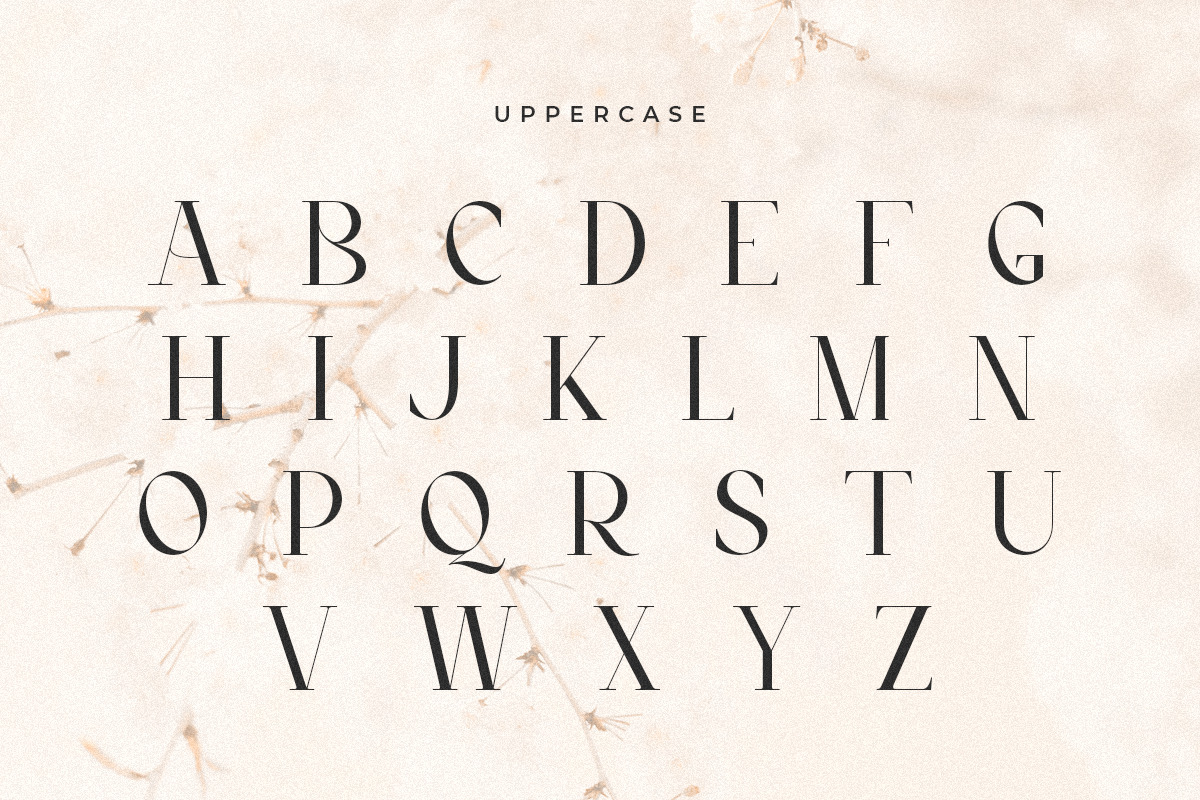 Quloon - Modern Ligature Font