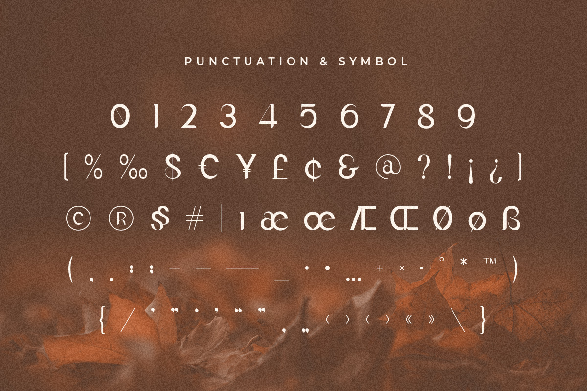 Glosary – Unique Contrast Geometric Serif Glosary – Unique Contrast Geometric Serif