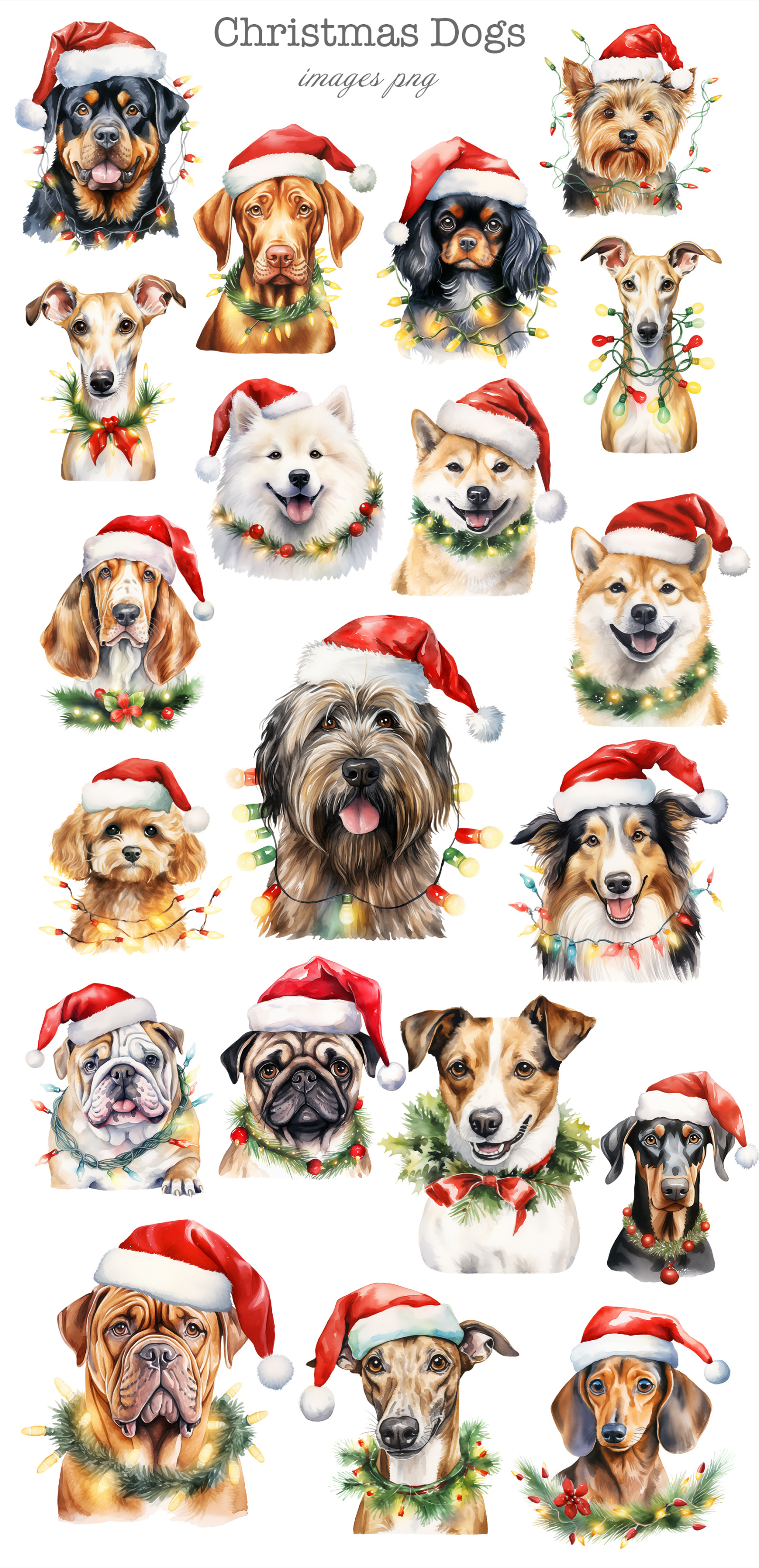 Christmas Dogs