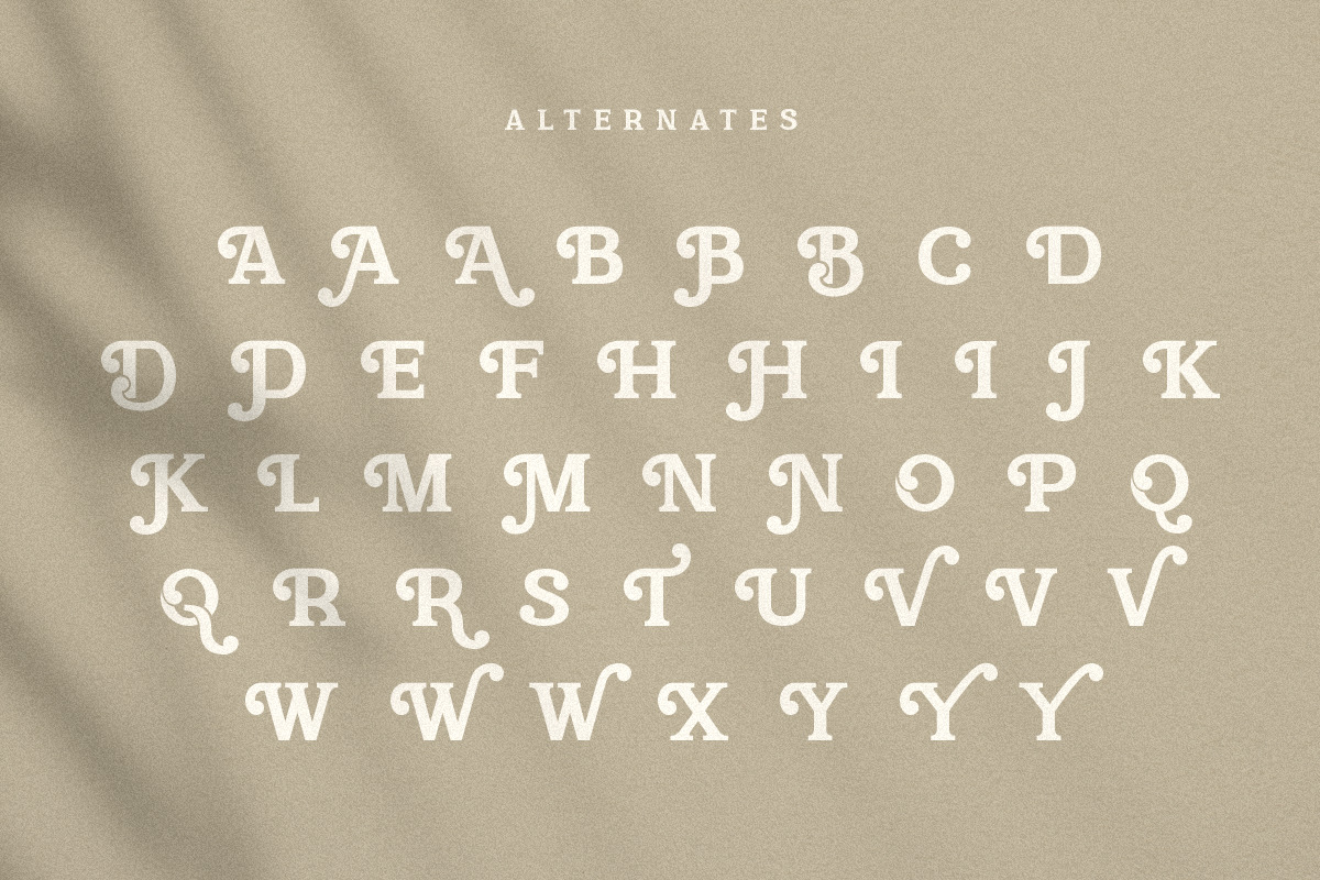 Campaign Serif - Modern Stylish Font Campaign Serif - Modern Stylish Font