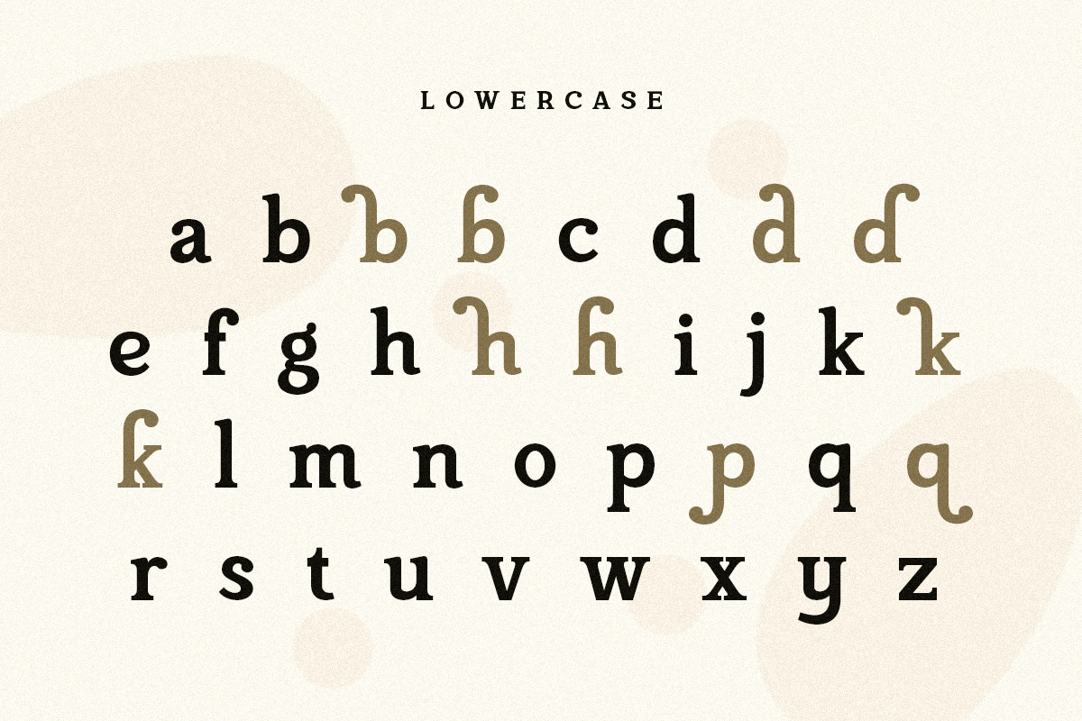 Campaign Serif - Modern Stylish Font Campaign Serif - Modern Stylish Font