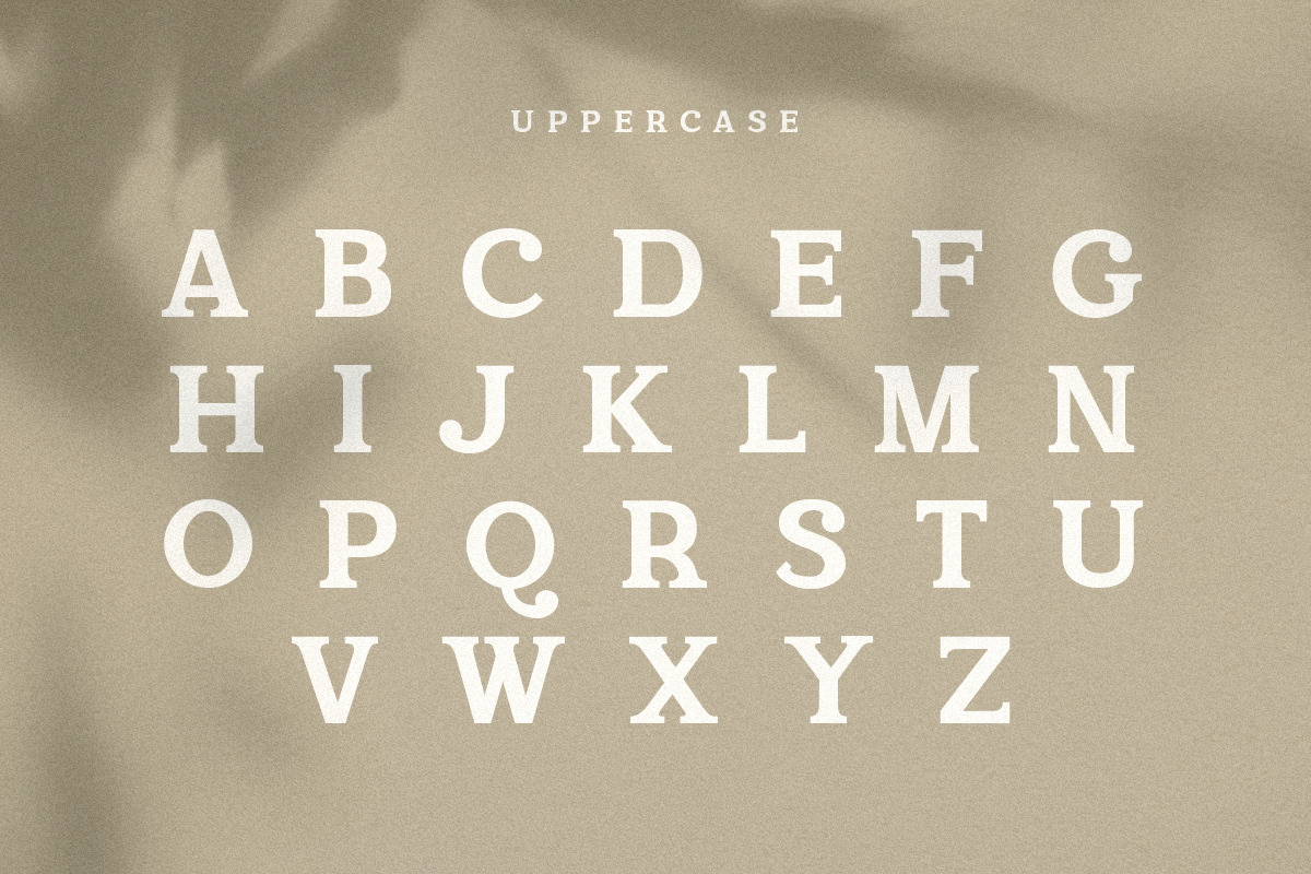 Campaign Serif - Modern Stylish Font Campaign Serif - Modern Stylish Font