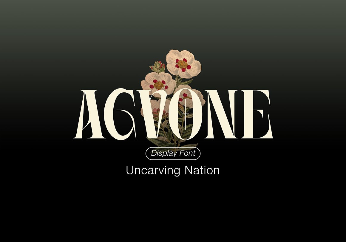 Agvone - Display Font Agvone - Display Font
