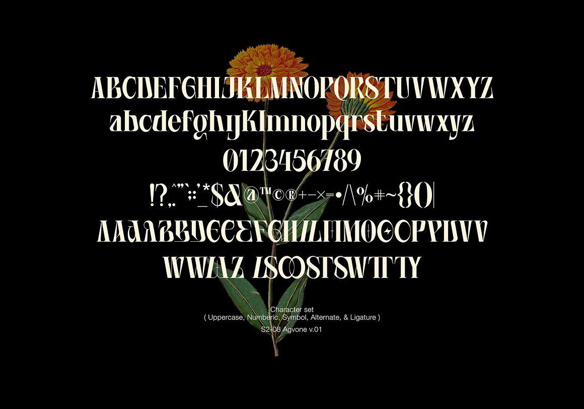 Agvone - Display Font Agvone - Display Font