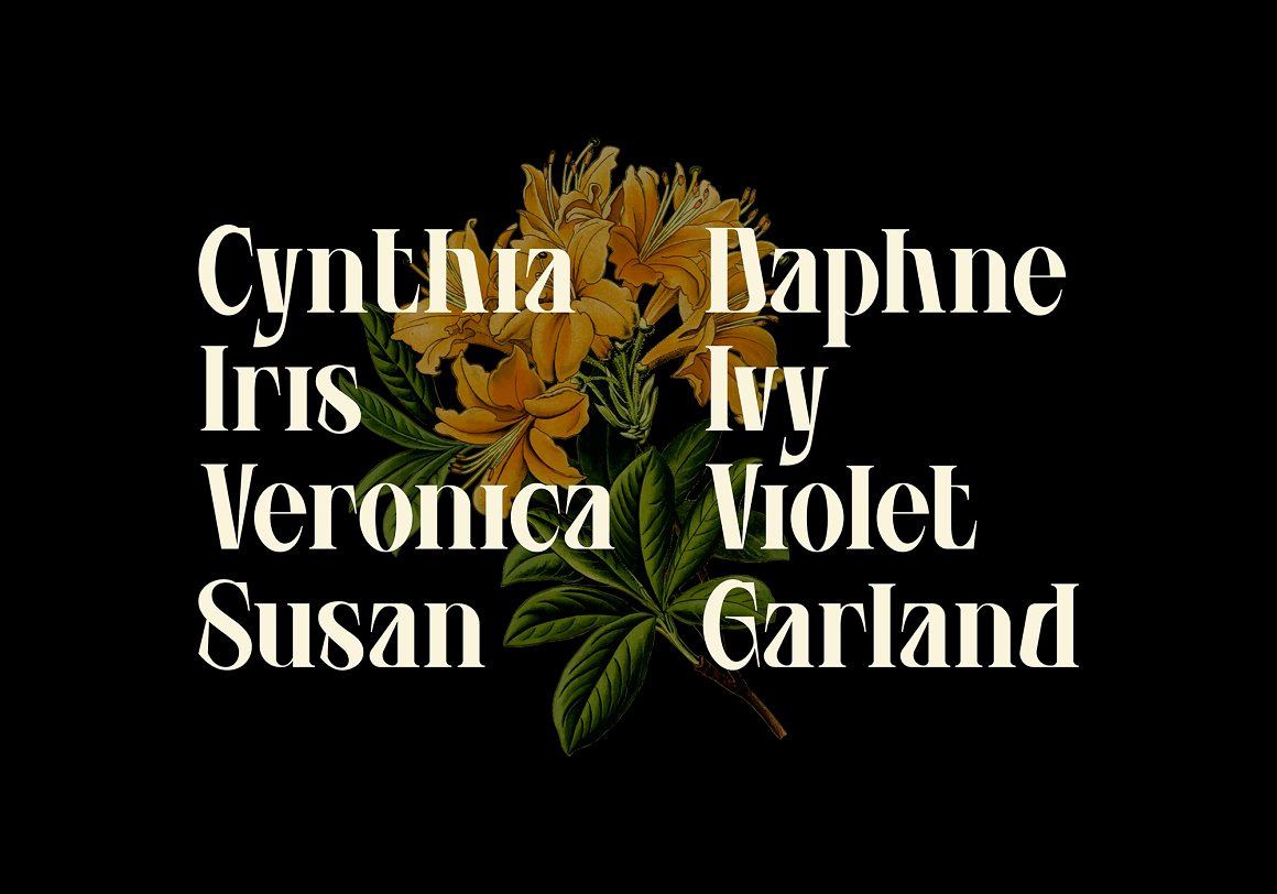 Agvone - Display Font Agvone - Display Font