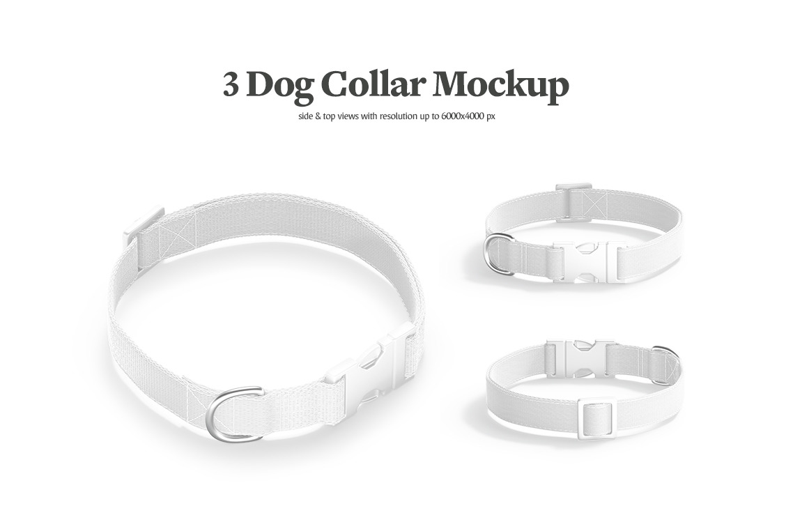 Dog Collar Mockups Dog Collar Mockups