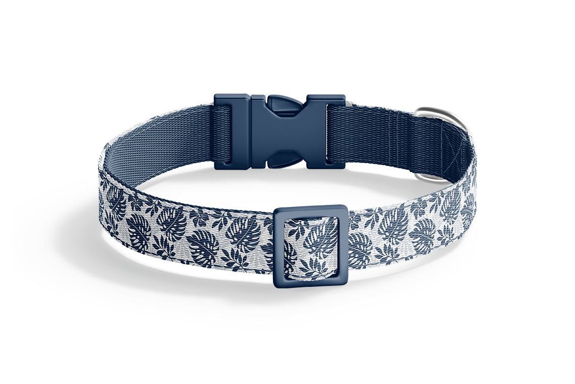 Dog Collar Mockups Dog Collar Mockups