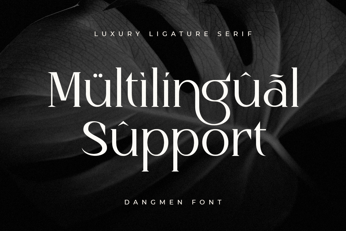 Dangmen - Luxury Ligature Serif Dangmen - Luxury Ligature Serif