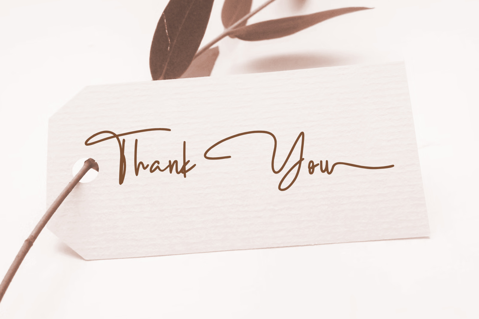 Dear Kimberly Dear Kimberly