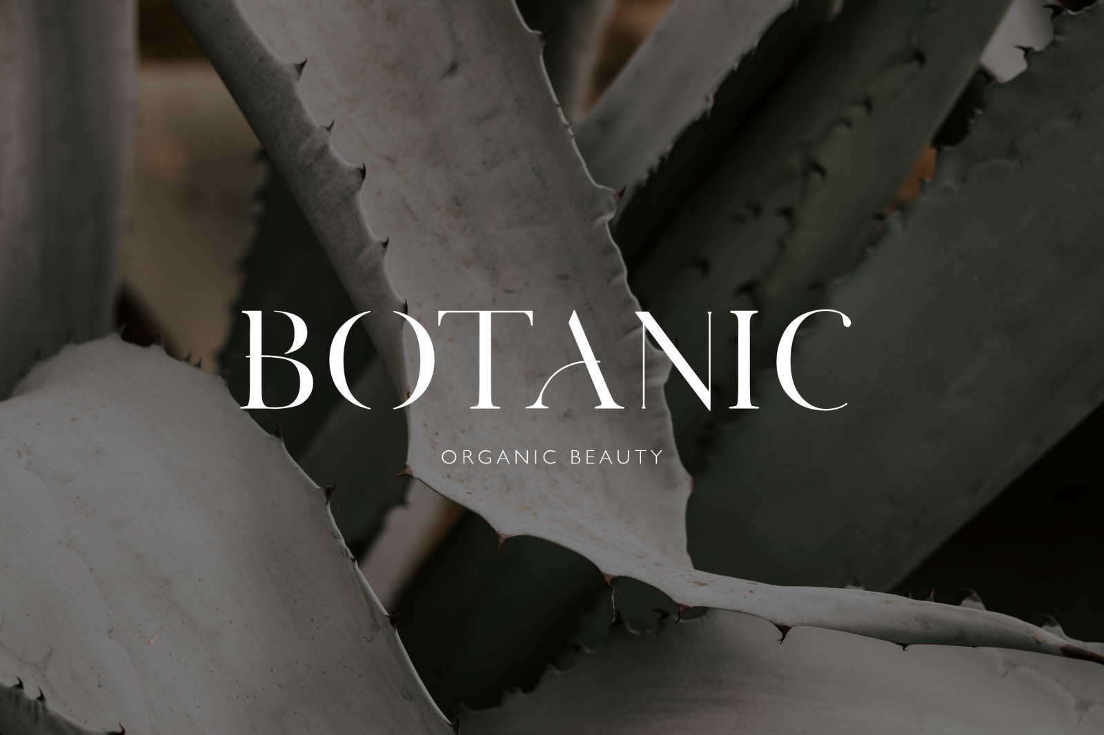 Adore Serif Font Adore Serif Font