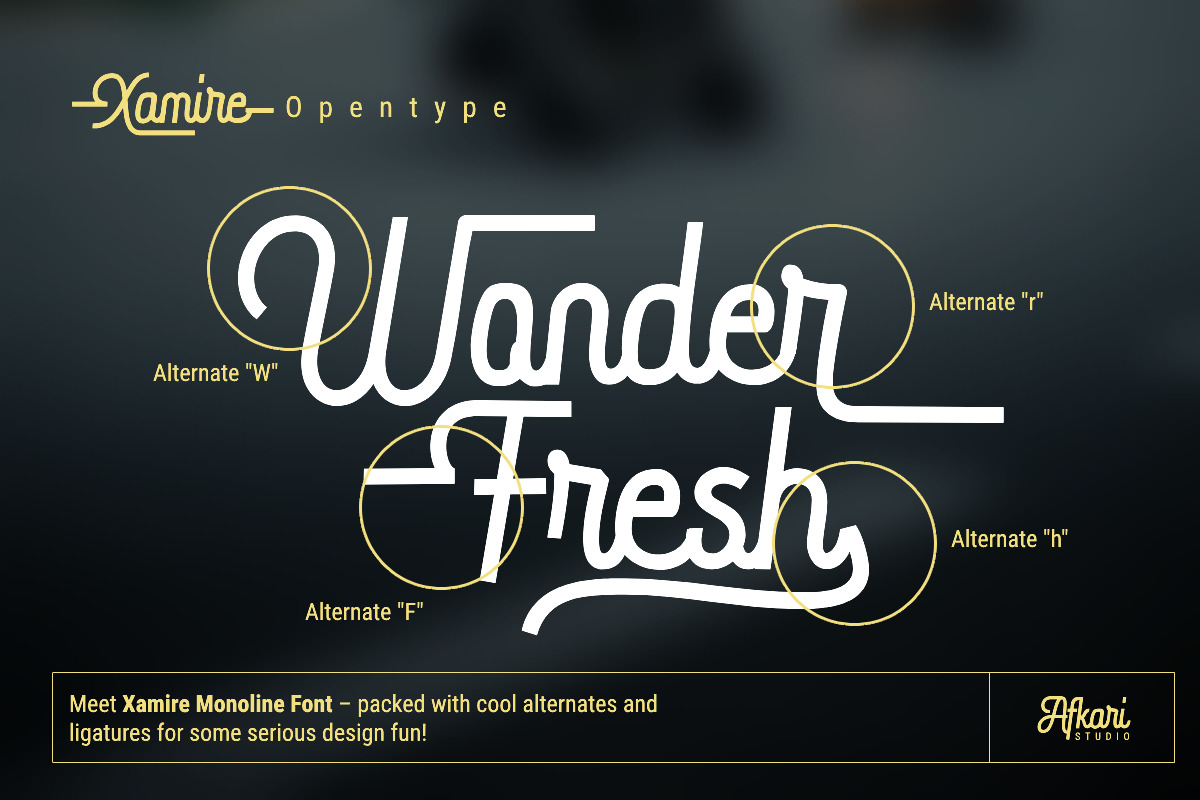 Xamire - Monoline Modern Script Font Xamire - Monoline Modern Script Font