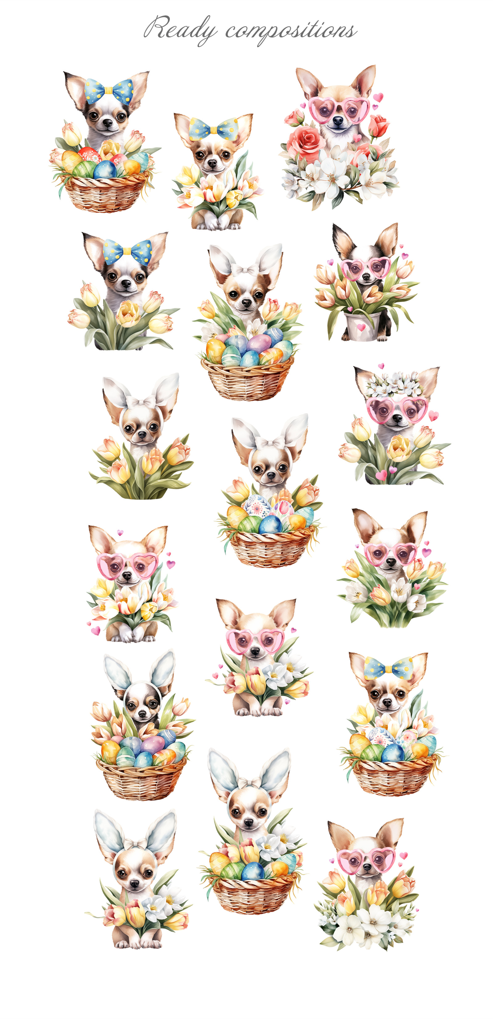 Chihuahua Chihuahua
