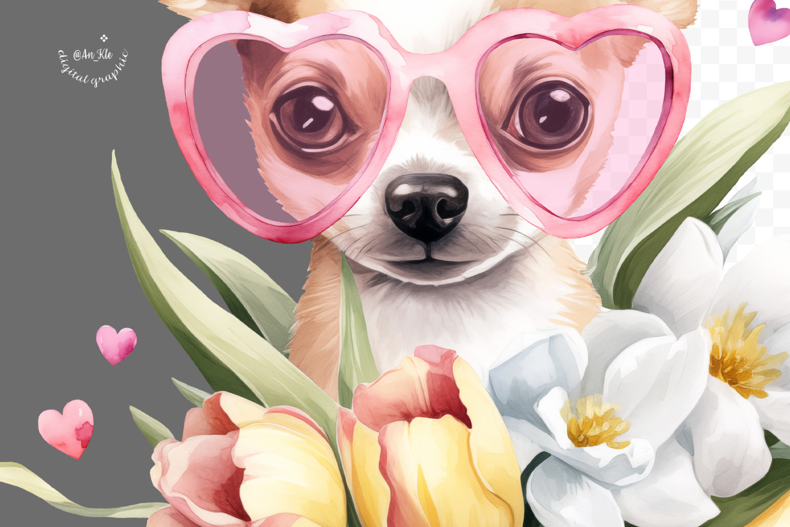 Chihuahua Chihuahua