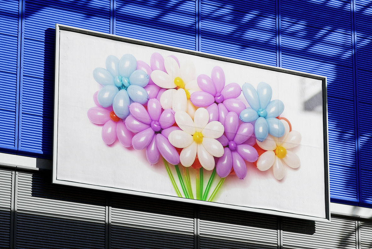 Balloon flowers Balloon flowers