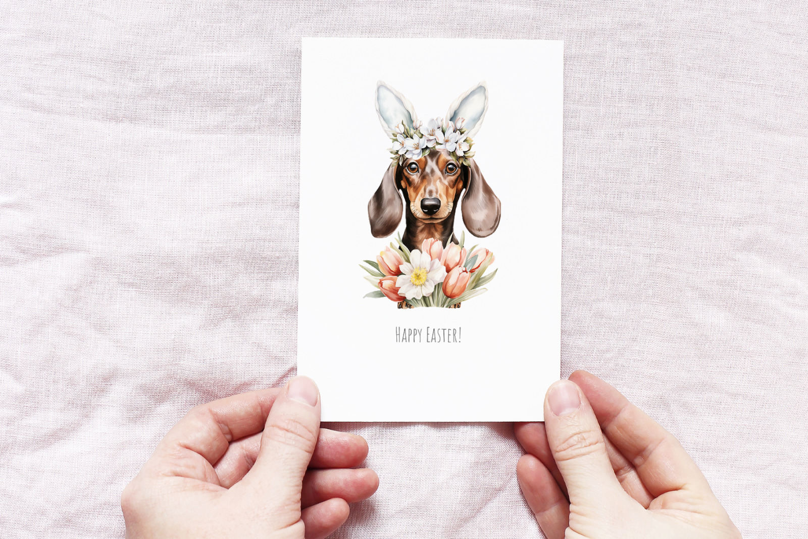 Dachshund bundle