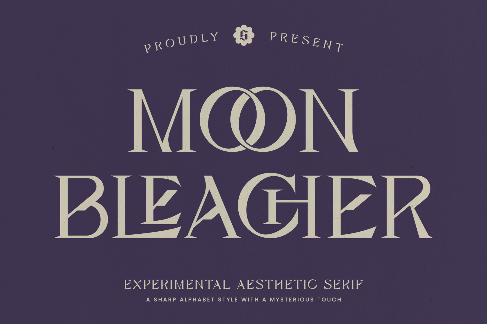 Moon Bleacher - Display Experimental Serif Font