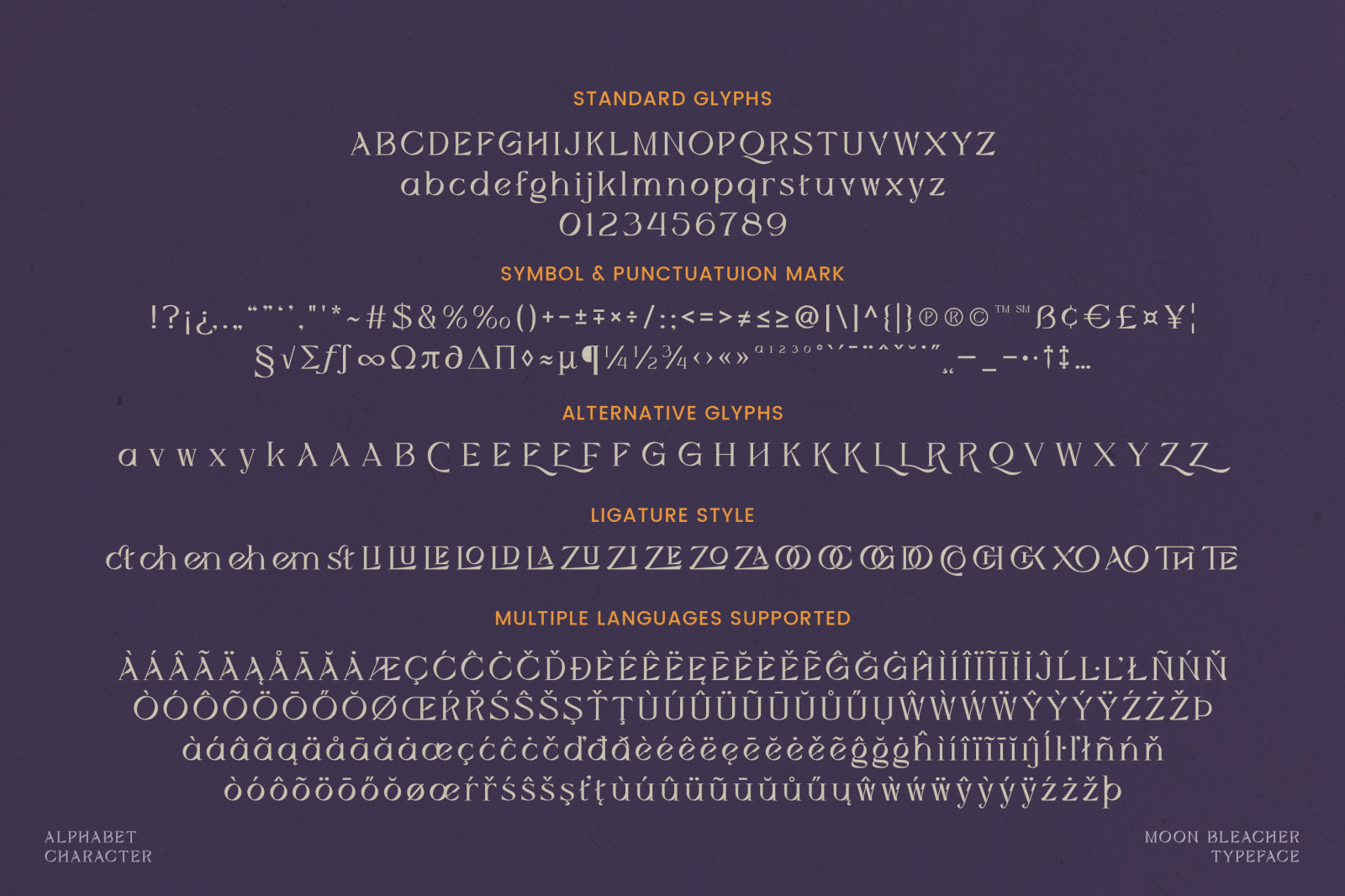 Moon Bleacher - Display Experimental Serif Font Moon Bleacher - Display Experimental Serif Font